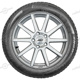 205/55 R16 94H W 210 Snowcontrol3 Ecoimpact XL M+S W 210 Snowcontrol3 Ecoimpact XL M+S Pirelli 205/55 R16 94H W 210 Snowcontrol3 Ecoimpact XL M+S
