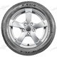 175/65 R14 86T Perfecta XL Perfecta XL Sava 175/65 R14 86T Perfecta XL