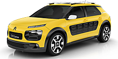 C4 Cactus