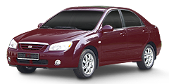 Cerato