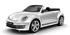 Beetle