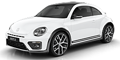 Beetle